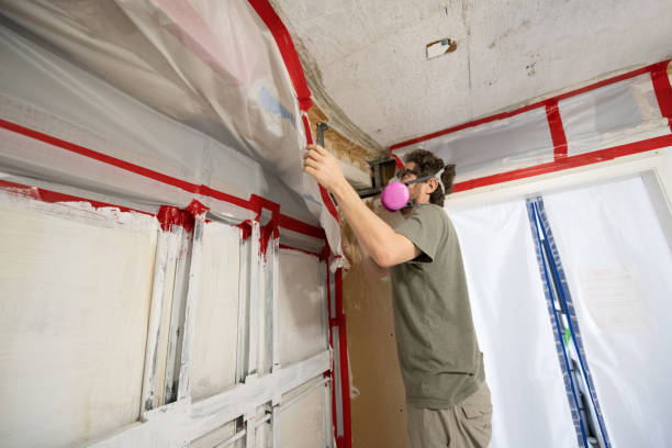 Best Post-Construction Mold Inspection  in Inglenook, CT