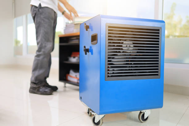Best Mold Removal for HVAC Installations  in Inglenook, CT