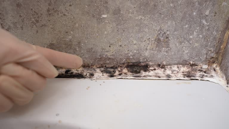 Best Residential Mold Inspection & Testing  in Inglenook, CT
